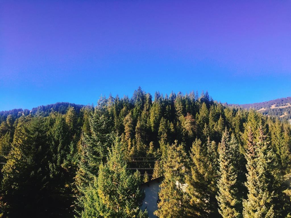 Laax Rancho Residence Dış mekan fotoğraf